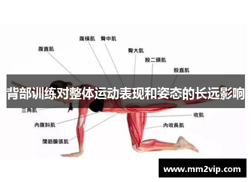 背部训练对整体运动表现和姿态的长远影响